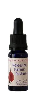 Releasing Karmic Patterns Essens (15 ml)