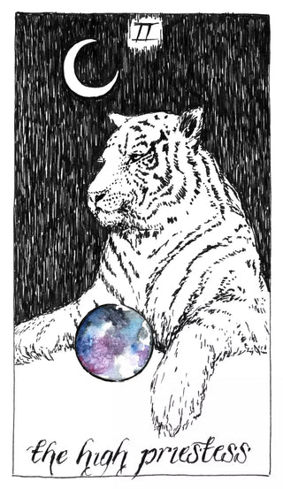 The Wild Unknown Tarot Pocket