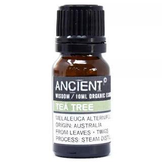 Ancient Wisdom Tea Tree Økologisk (10 ml)