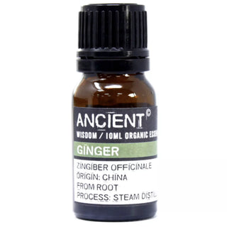 Ancient Wisdom Ingefær Økologisk (10 ml)