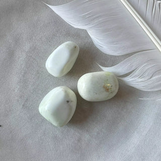 Sitrongress Chrysophrase