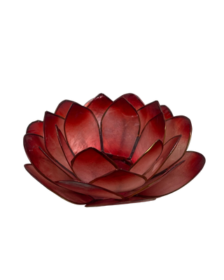 Lotuslys rød rund
