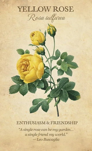 Botanical Inspirations