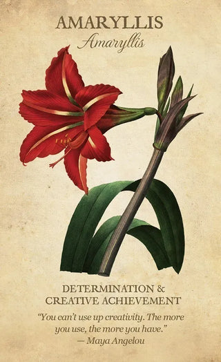 Botanical Inspirations