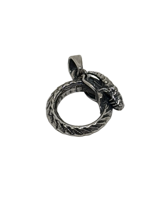 Ouroboros anheng
