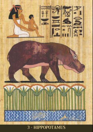 EGYPTIAN SACRED ANIMALS ORACLE cards