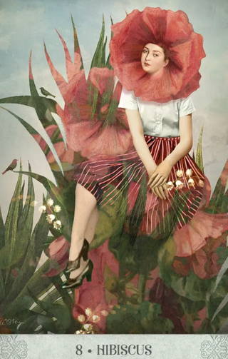 Botanical Dreams Oracle