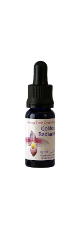 Golden Radiance essens (15 ml)