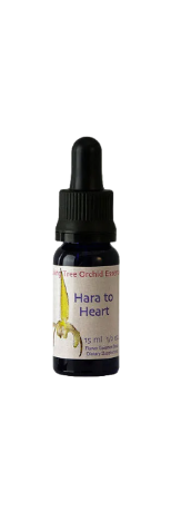 Hara to Heart Essens (15 ml)