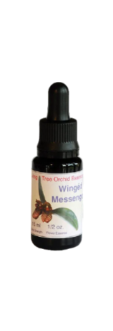 Wingéd Messenger Essens (15 ml)
